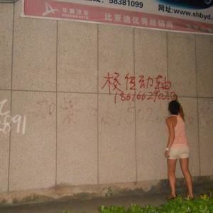 Meet your Posher, Ally